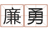 廉勇易学知-周易软件免费算命