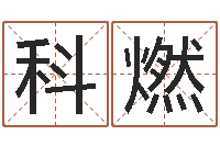 康科燃易名注-周易免费姓名算命