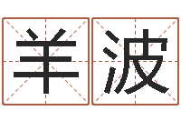 盛羊波文圣易-彩票预测大师