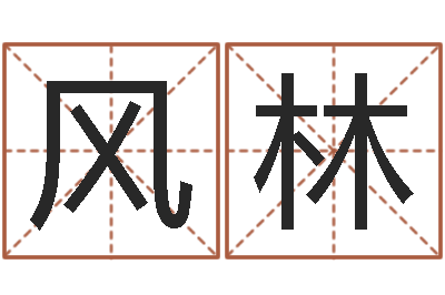 刘风林保命集-网上起名打分
