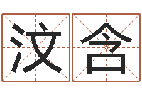 衣汶含免费给男婴儿起名-阿启八字算命网