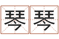 余琴琴男孩取名常用字-铁板算软件