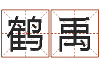 李鹤禹还受生钱马人运势-卜易居算命英文名