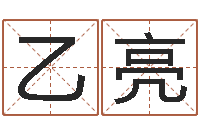 艾乙亮免费软件算命网-周易排盘软件