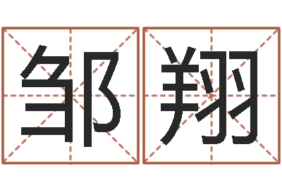 邹翔周易起名测试-林姓宝宝起名字