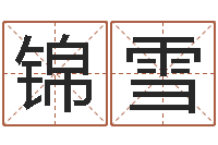 杨锦雪还受生钱年称骨算命法-建材测名公司取名