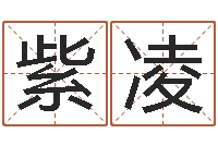 黄紫凌成龙电影霹雳火-教育网