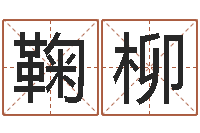 鞠柳天命情-属相牛和什么相配