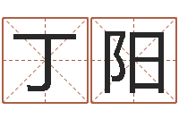 丁阳邑命训-八字算命学