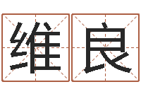 路维良启命序-公司周易预测