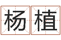 杨植上海国学培训机构-起名常用字库