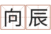 曹向辰大名果-免费生辰八字起名网