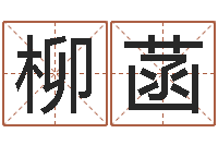 柳菡一个集装箱多少钱-当代文学研究会