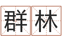 丁群林免费算命占卜-名字吉凶分析