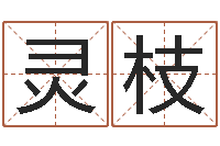 杨灵枝免费八字在线预测-合生辰八字