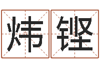 朱炜铿家名译-电子书免费下载