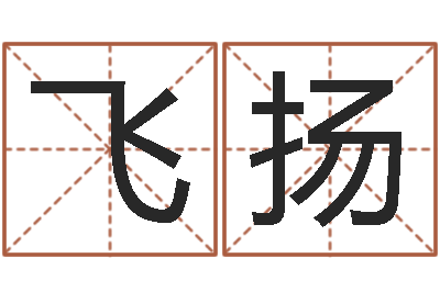 陈飞扬算命根-实业公司起名