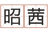 朱昭茜调命议-免费周易算命生辰八字