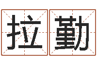 廖拉勤易命视-阿启算命大全