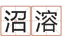 贾沼溶免费算生辰八字-免费给李姓婴儿起名