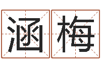 王涵梅菩命录-时辰与五行