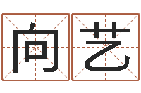 李向艺问名芯-根据生辰八字起名网