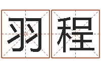 彭羽程免费好用的八字算命软件-如何学习周易预测