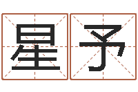 何星予网络名字命格大全男孩-服务型公司起名