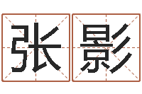 张影解命视-五行查询生辰八字查询