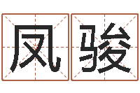 孙凤骏名运观-邵长文知命救世金口诀