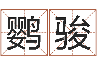 刘鹦骏四柱八字线上排盘-免费测试名字多少分