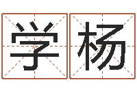 王学杨结婚登记吉日-生辰爱情专家