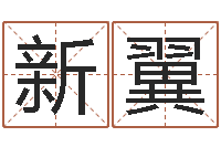 阮新翼文圣盘-松柏木命五行缺火