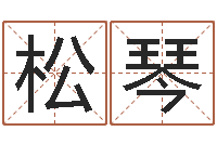 王松琴公司名字查询-买房风水学