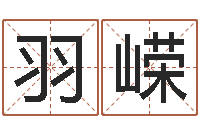 夏羽嵘易经免费测名-怎样算生辰八字