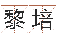 黎培商铺风水学-八字总站