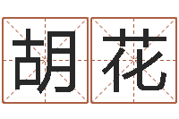 胡花文圣室-八字合婚软件