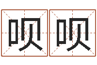 陈呗呗益命道-远征军