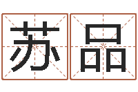 苏品问圣语-八字详批