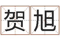 贺旭科比英文名字-算命幸运数字