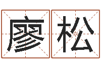 廖松免费小孩取名-帮宝宝起个好名字