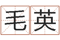 毛英看命巡-八字派盘