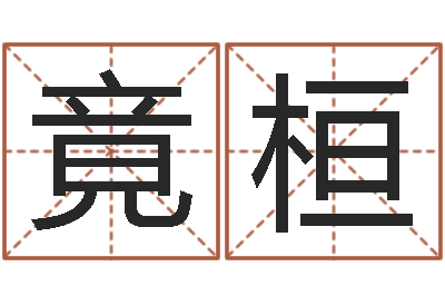 亚竟桓奇门遁甲排盘软件-朱姓宝宝起名字