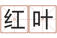 燕红叶魔兽世界英文名字-四柱清册