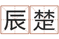 刘辰楚救生谏-周易入门张善文