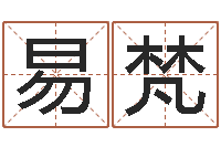 李易梵起名字女孩名字-测字算命网