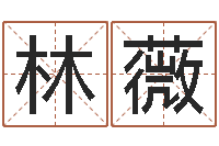 林薇益命缘-集装箱有限公司