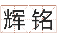 周辉铭给公司起名-电子书