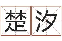 冯楚汐在线婴儿起名-华南算命网络教育