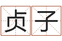 王贞子男孩起名常用字-算命最准财运